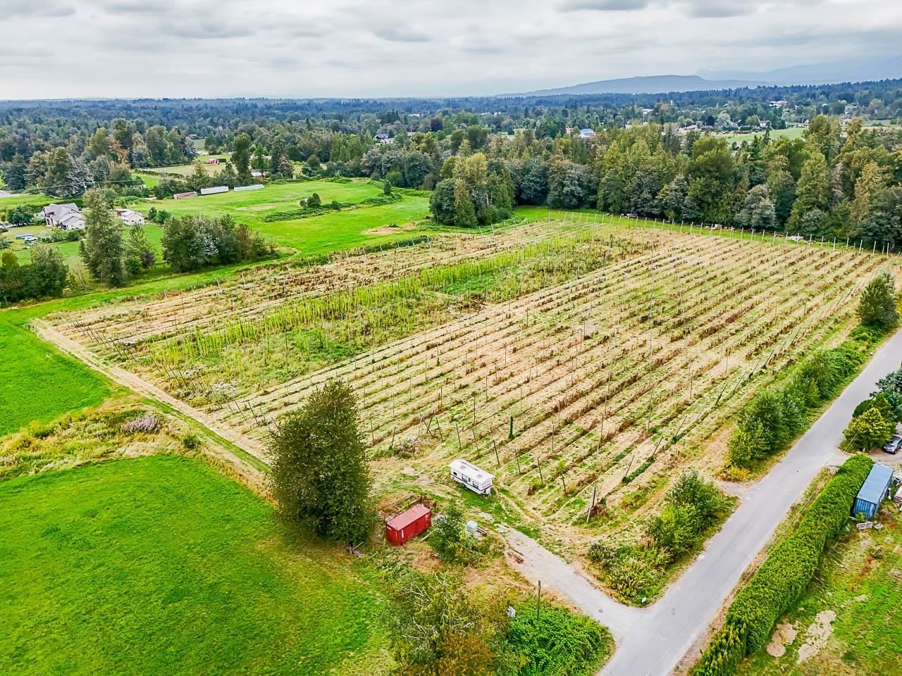 Listing Image 19