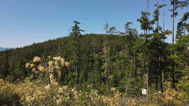 Lot 3 - 13803 Lee Road, Pender Harbour, V0N 1S1 | Image 3