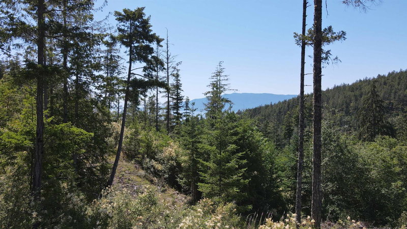 Lot 5 - 13803 Lee Road, Pender Harbour, V0N 1S1 | Image 3