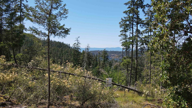 Lot 10 - 13803 Lee Road, Pender Harbour, V0N 1S1 | Image 3