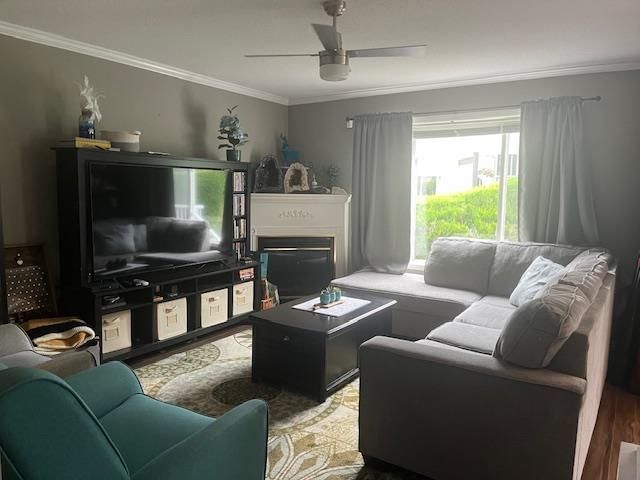 Listing photo 5