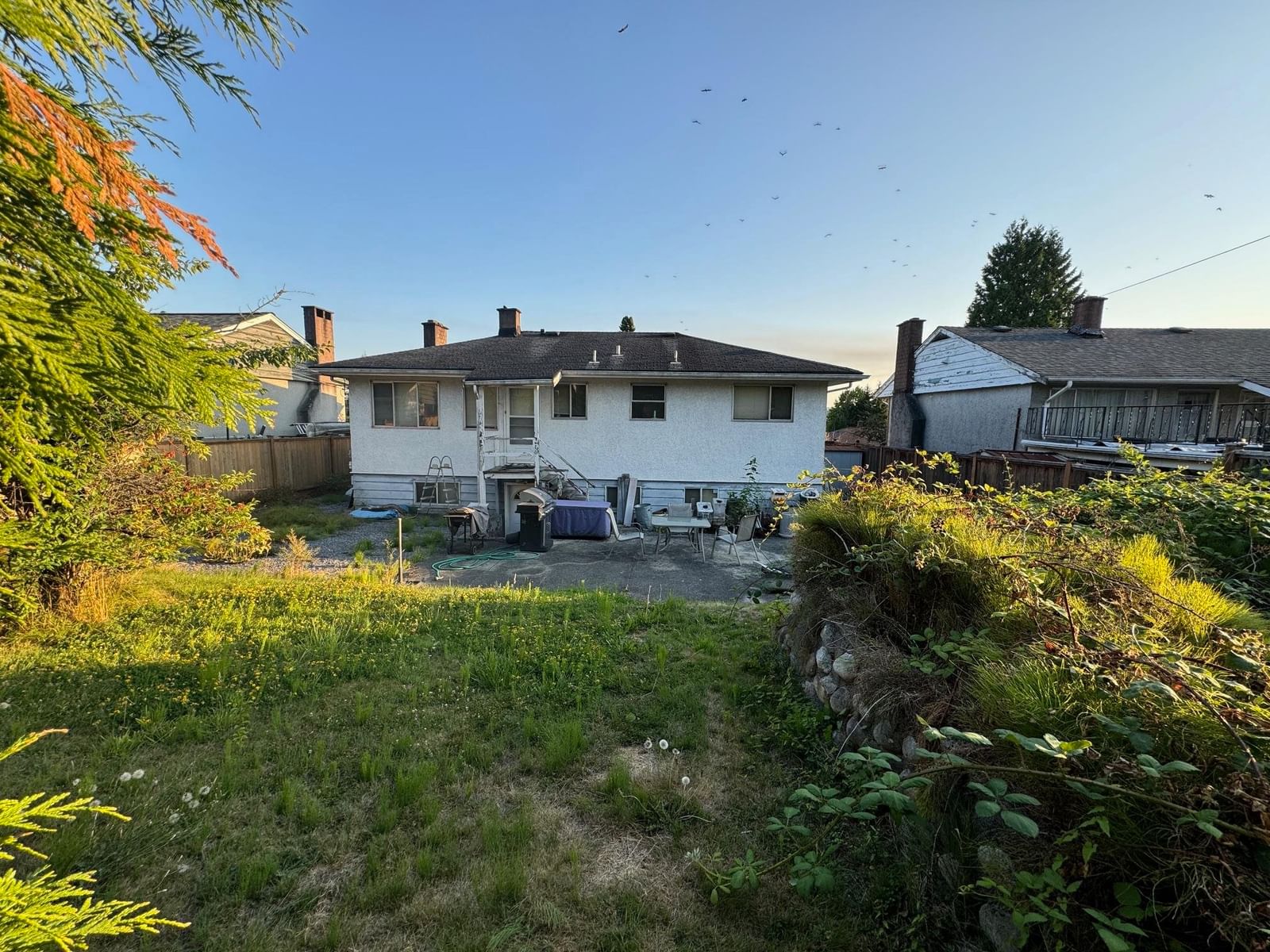 Listing Image 6