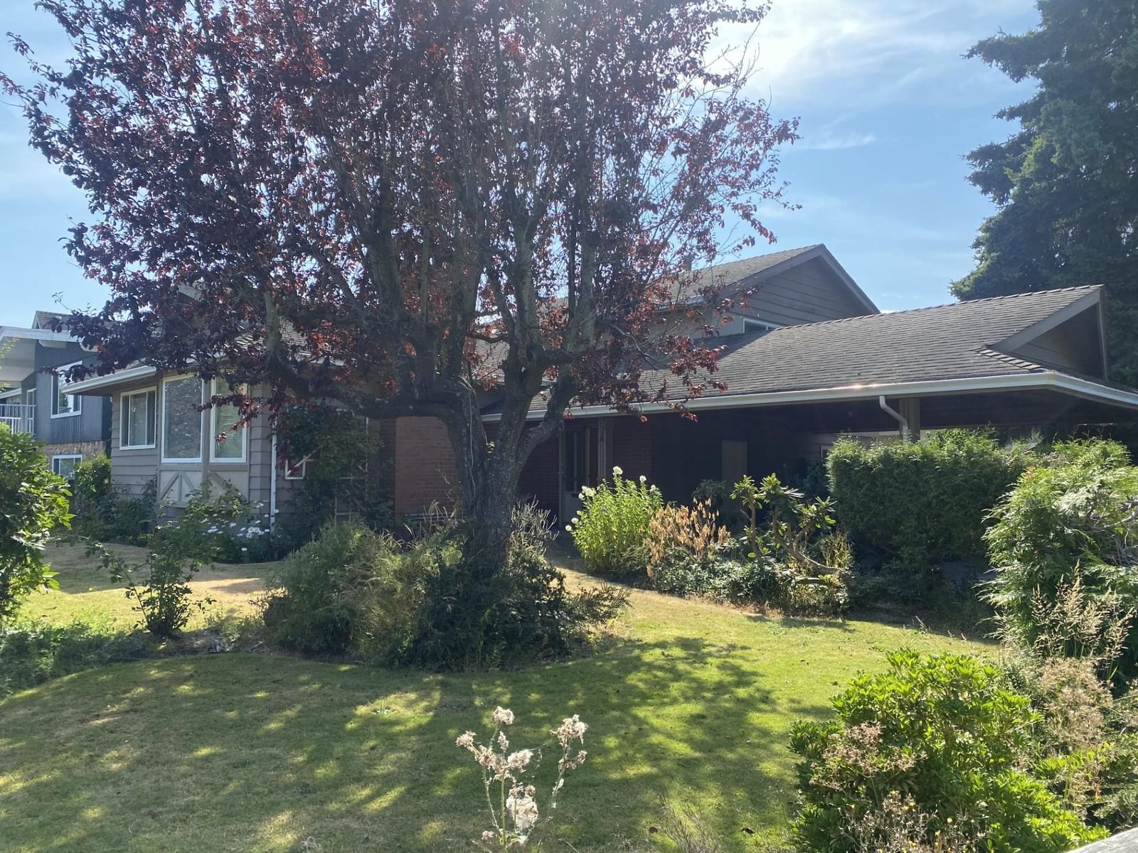 Listing Image 29