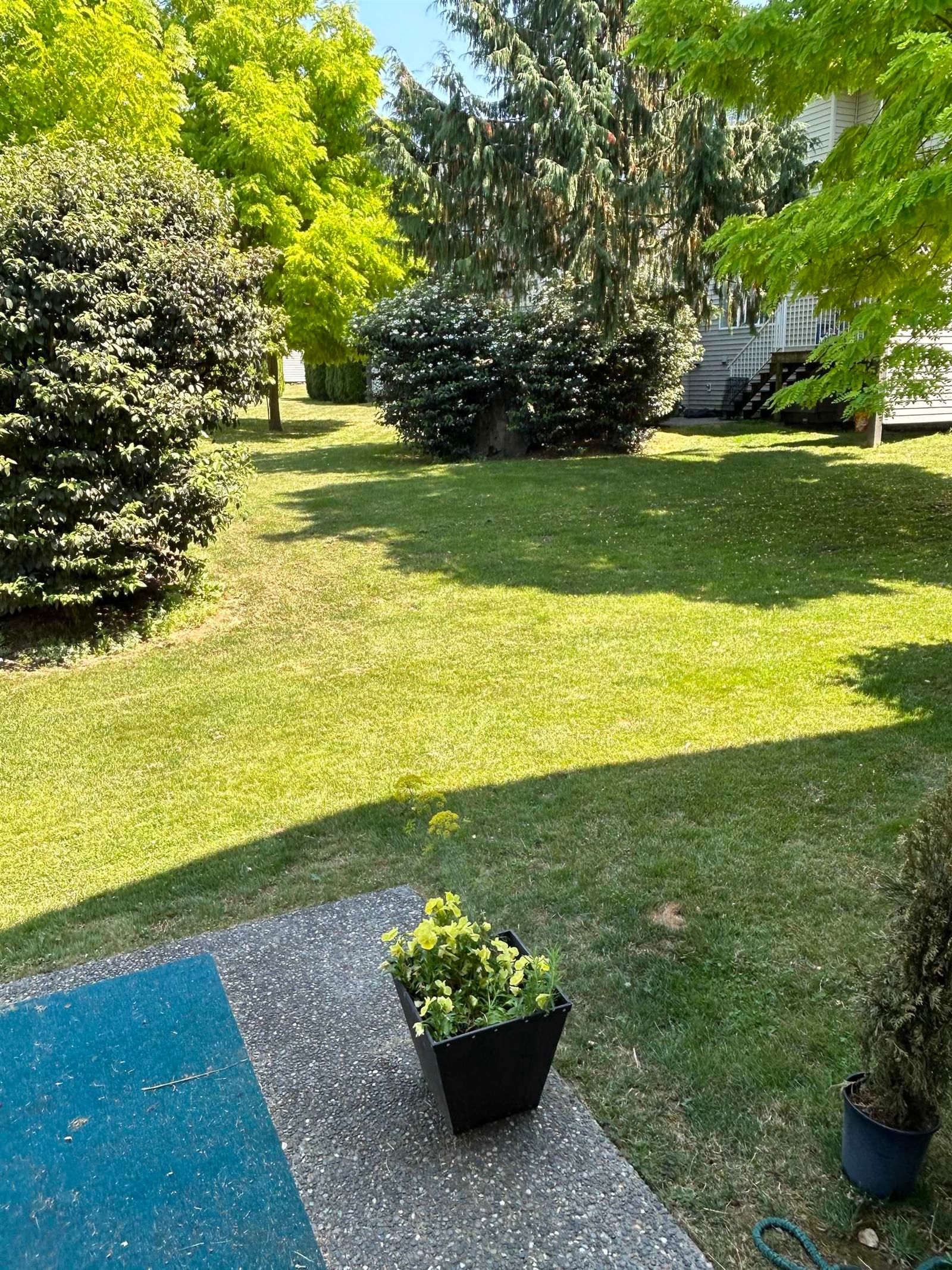 Listing Image 39