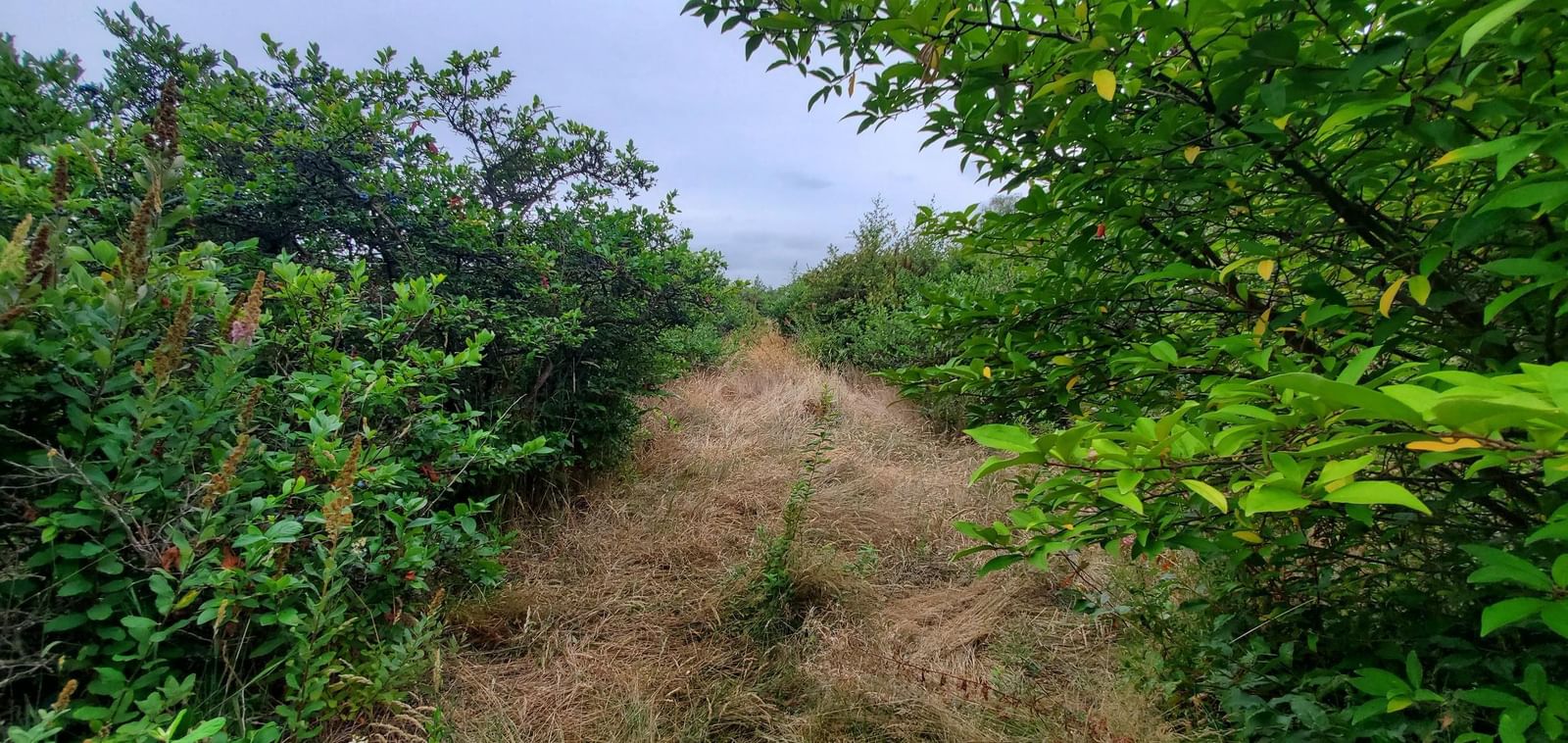 Listing Image 14