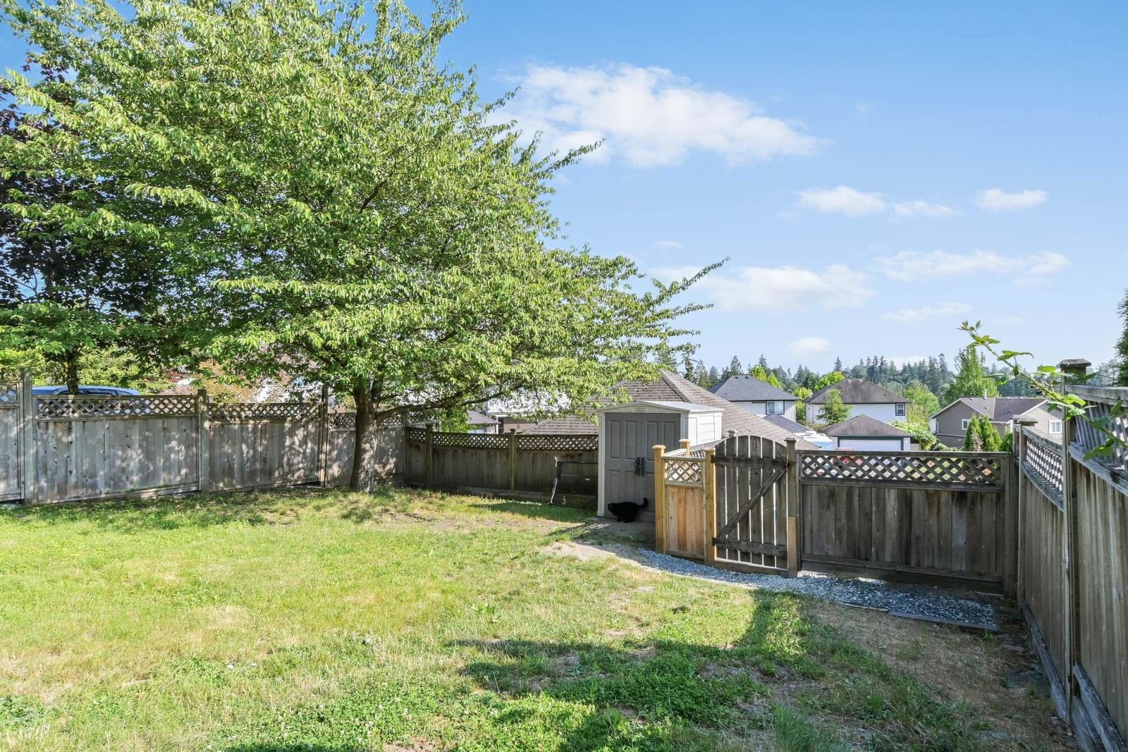 Listing Image 33