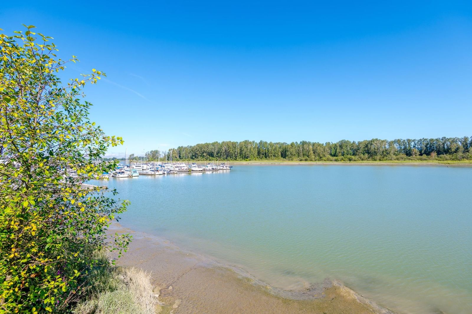 Listing Image 39