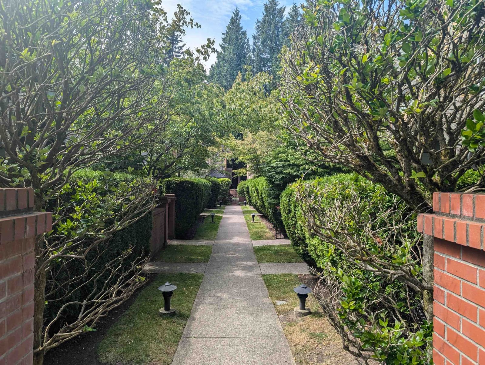 Listing Image 17