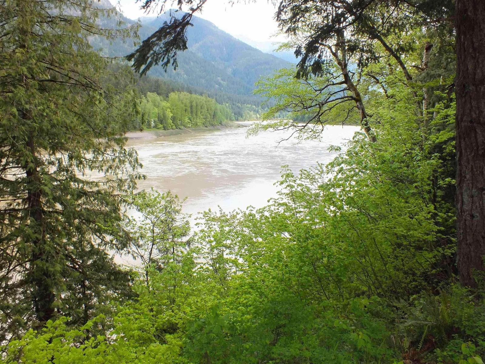 Listing Image 14
