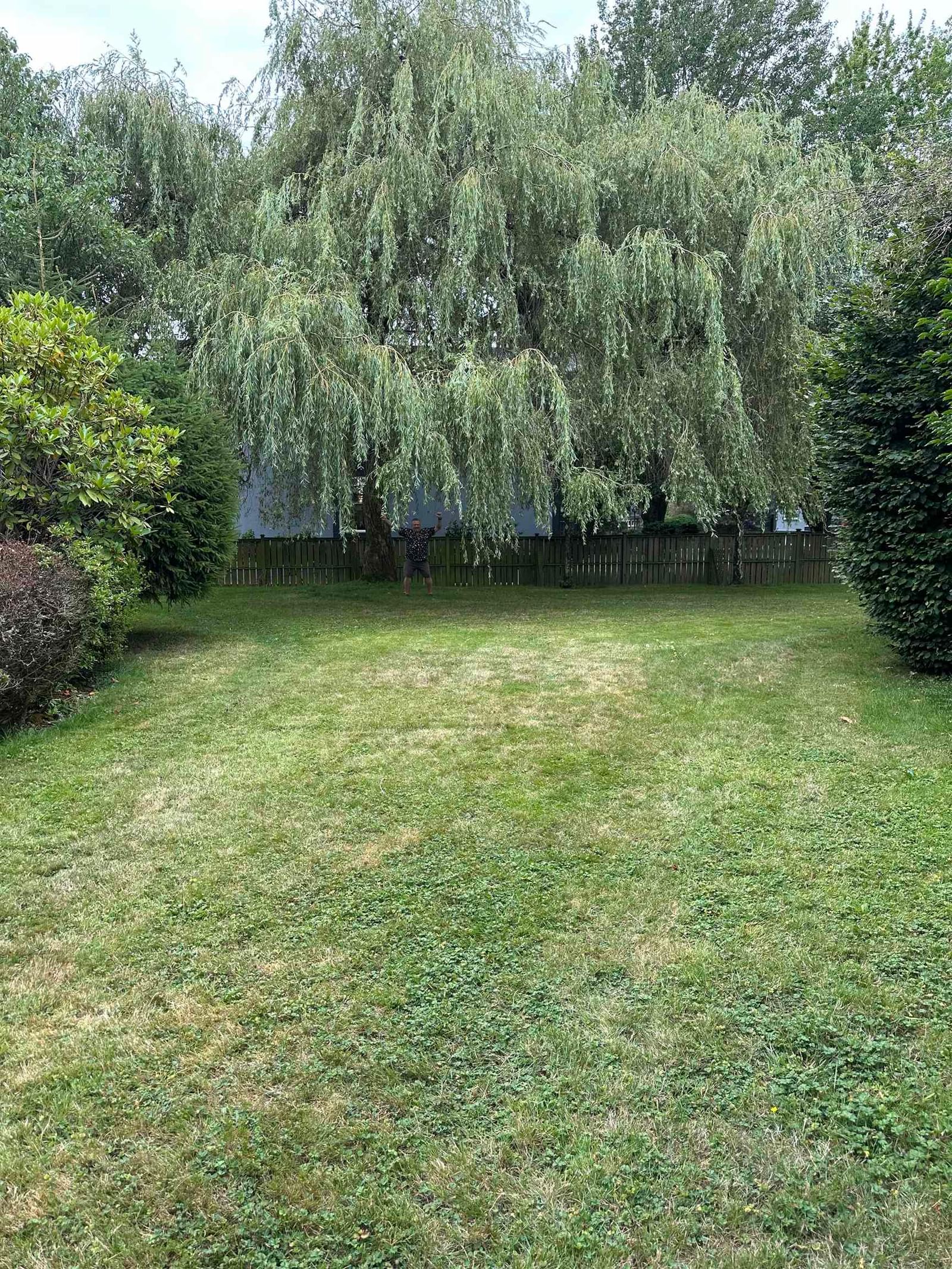 Listing Image 13