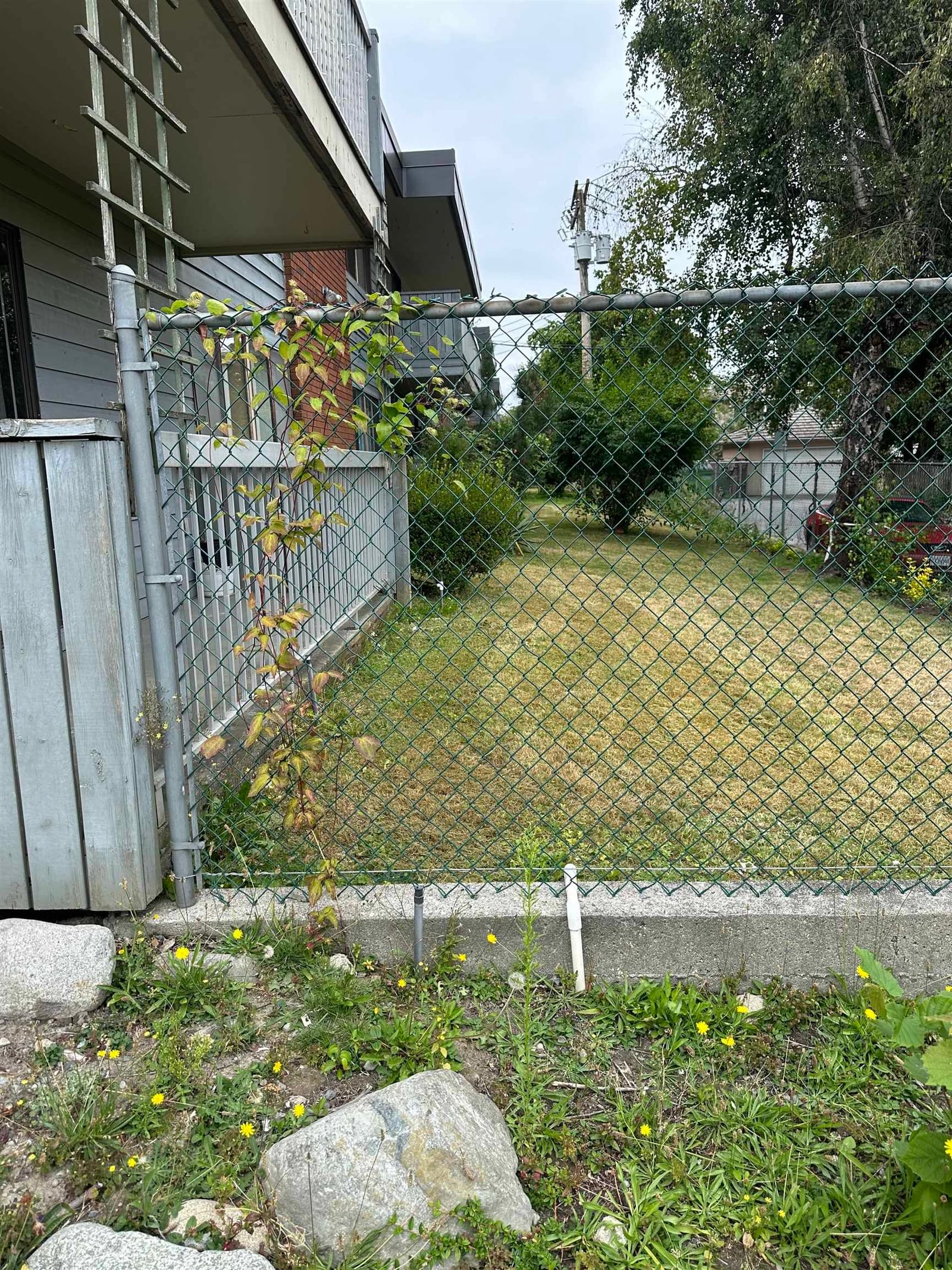 Listing Image 17