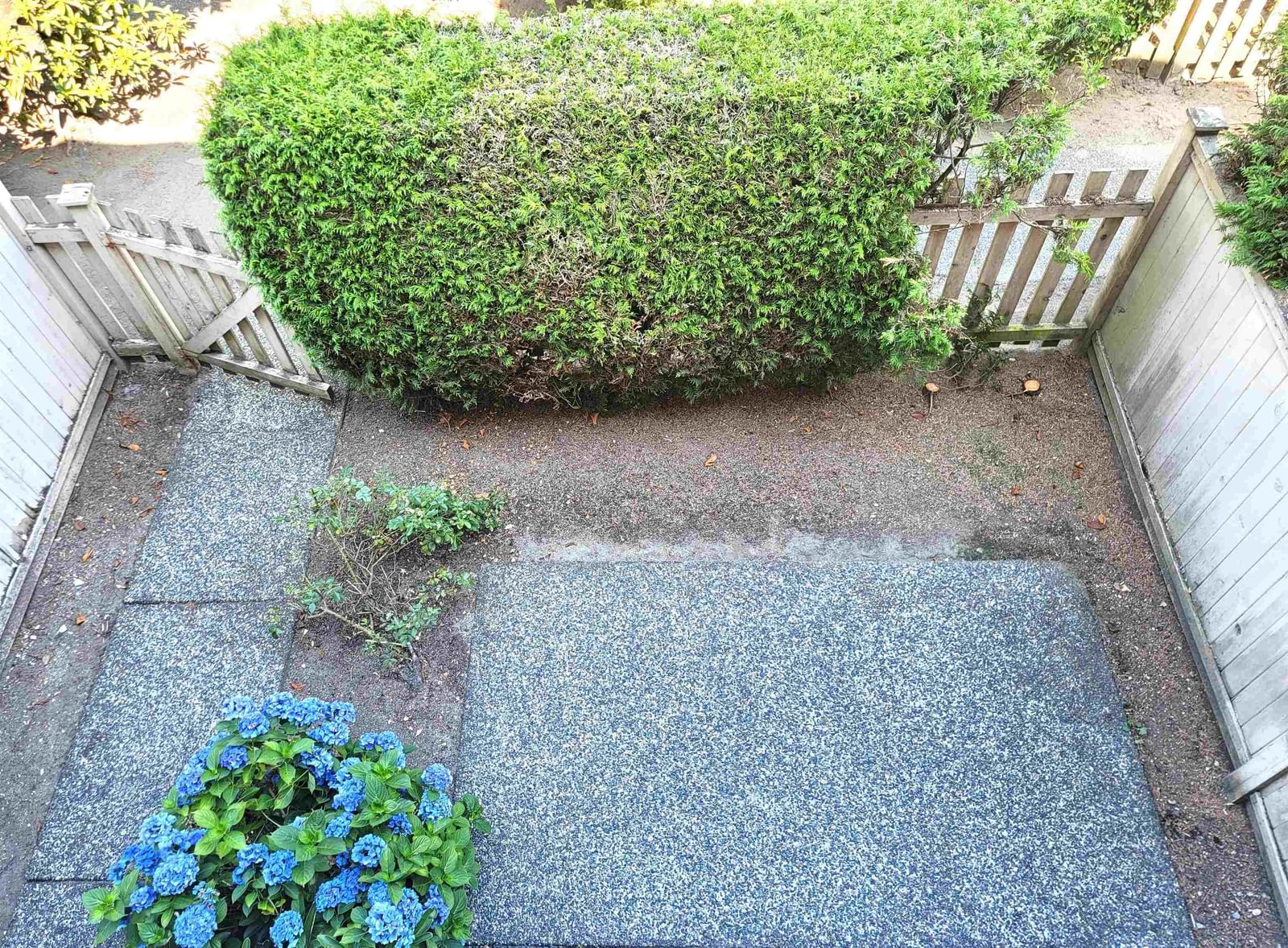 Listing Image 31