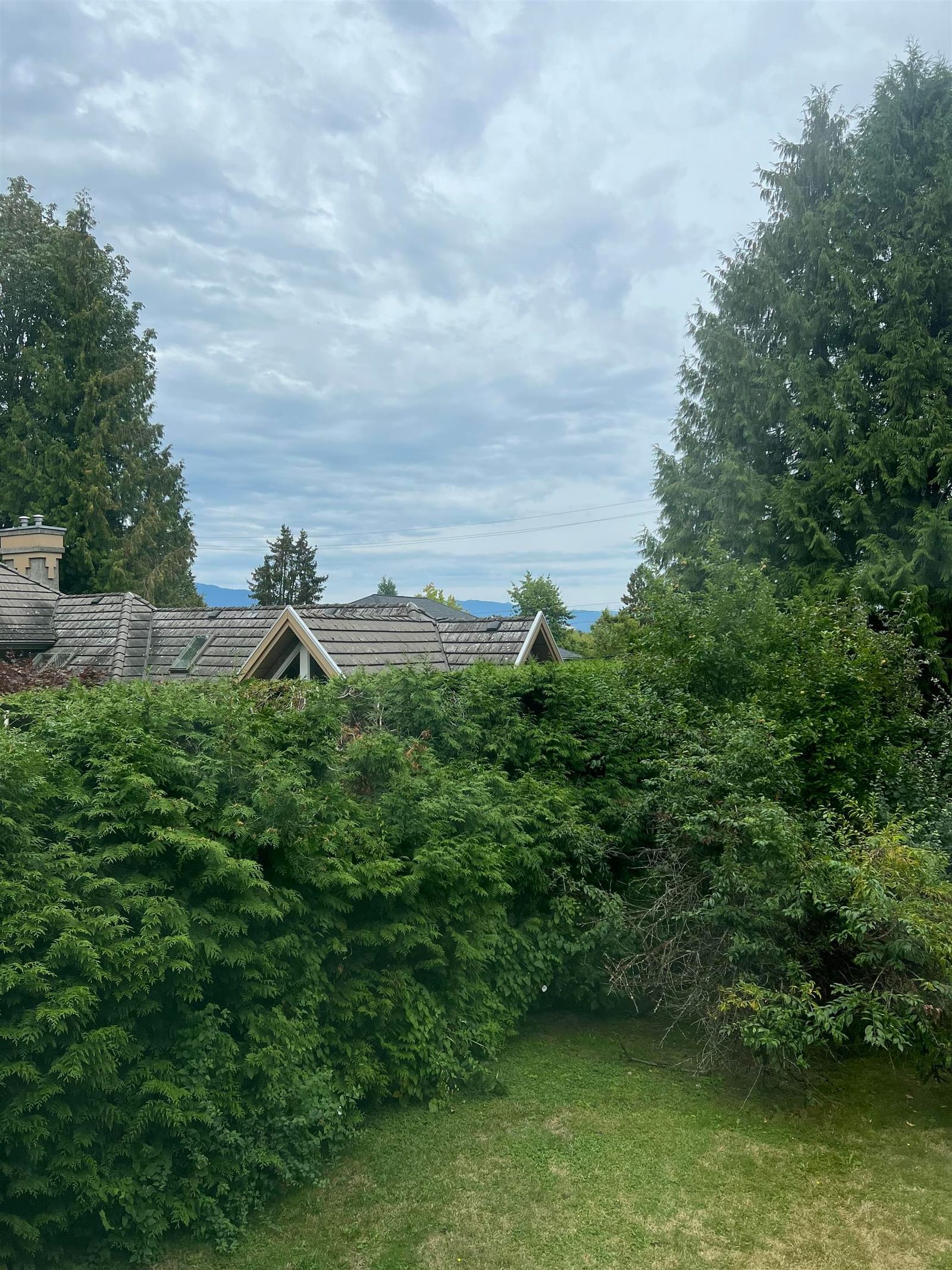 Listing Image 37