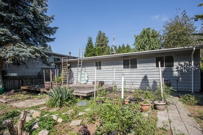 Listing Image 17