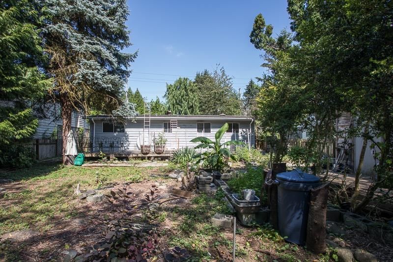 Listing Image 18