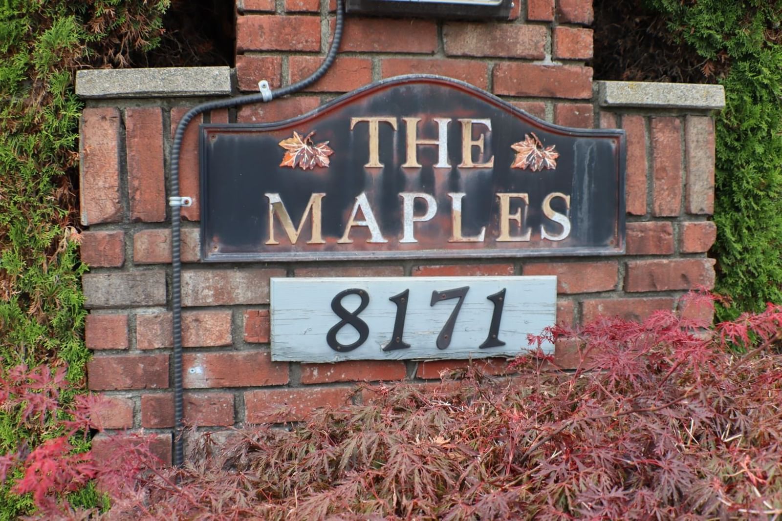 Listing Image 33