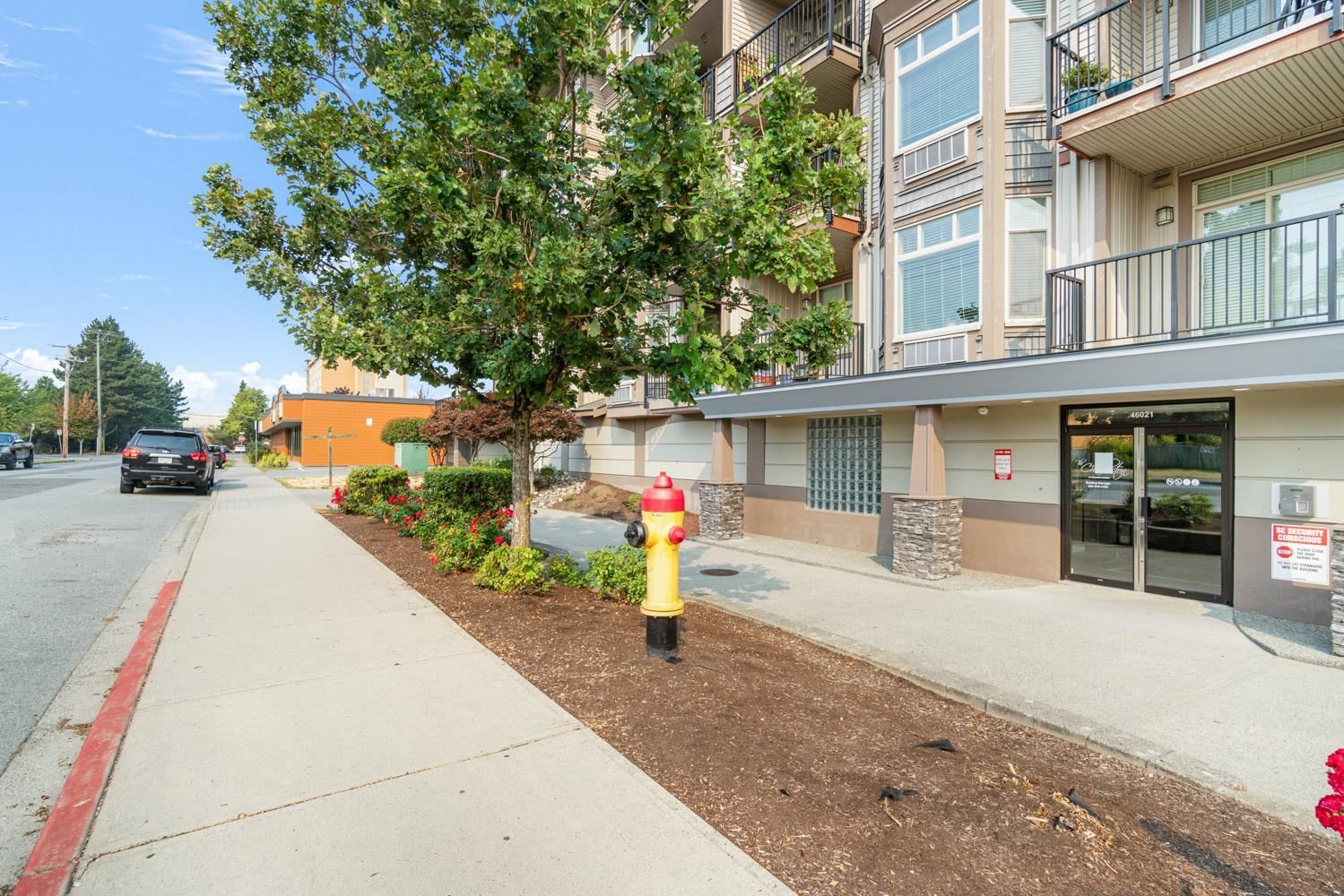 Listing Image 5