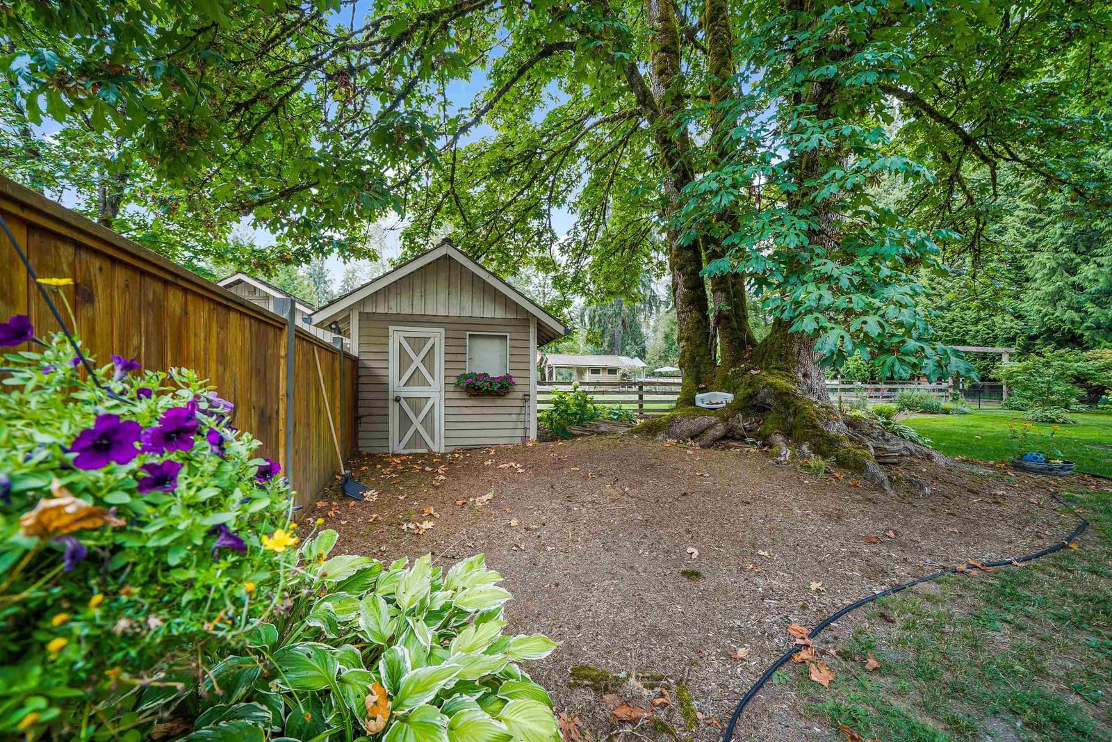 Listing Image 34
