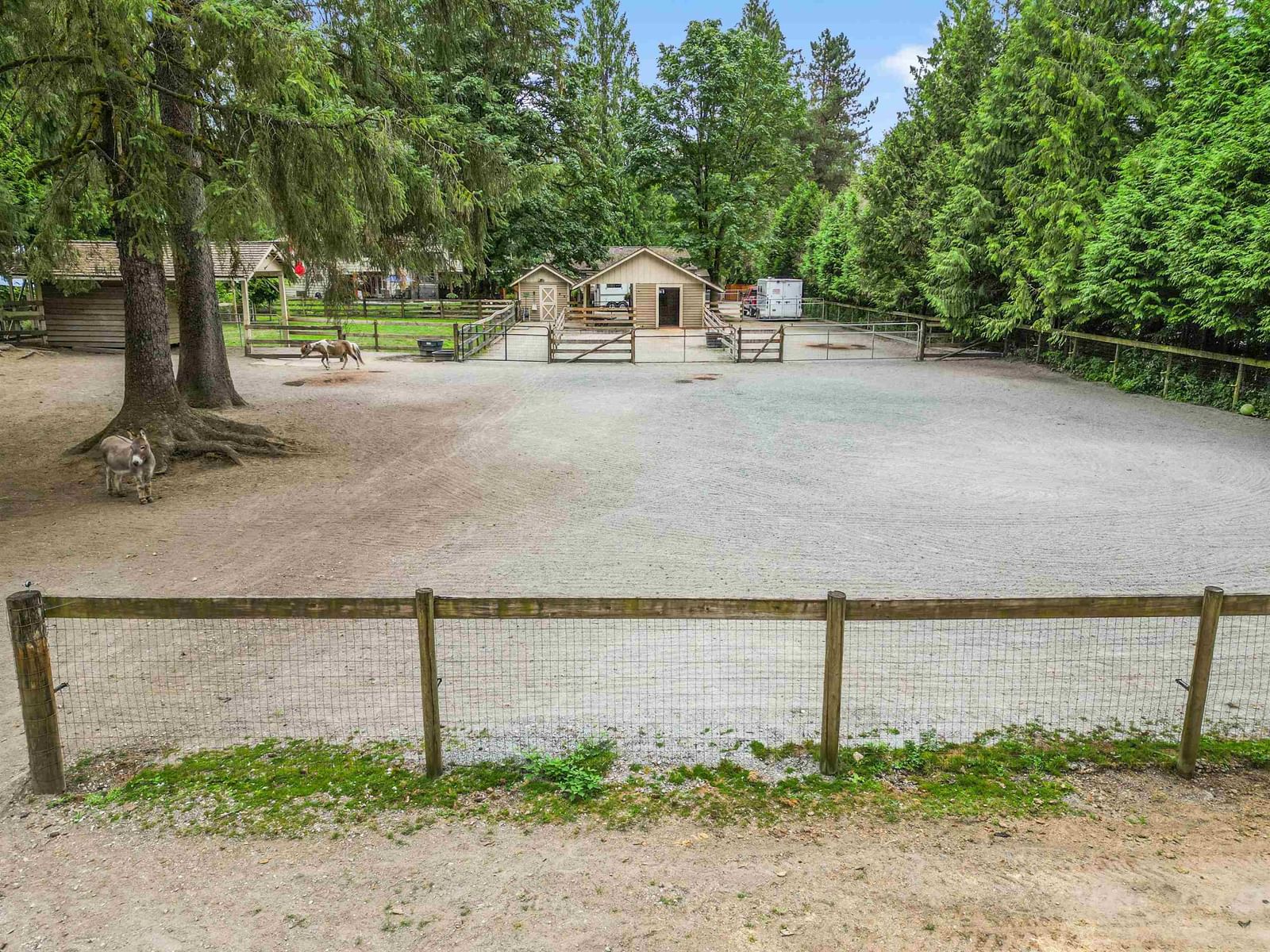 Listing Image 37