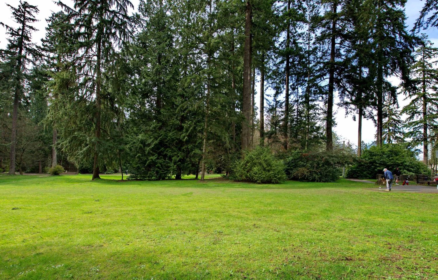 Listing Image 29