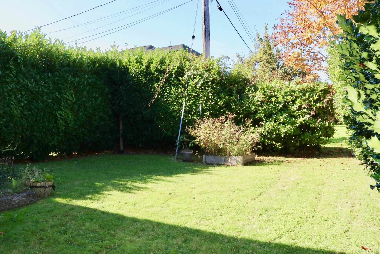 Listing Image 8