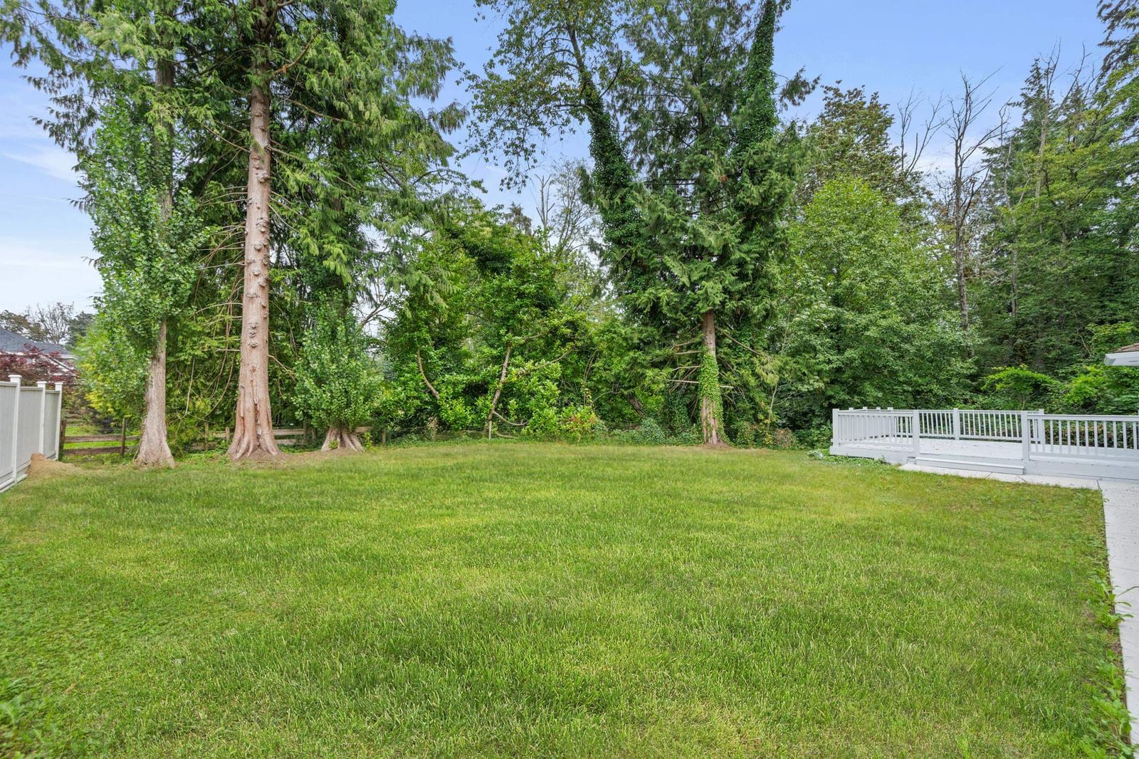 Listing Image 34
