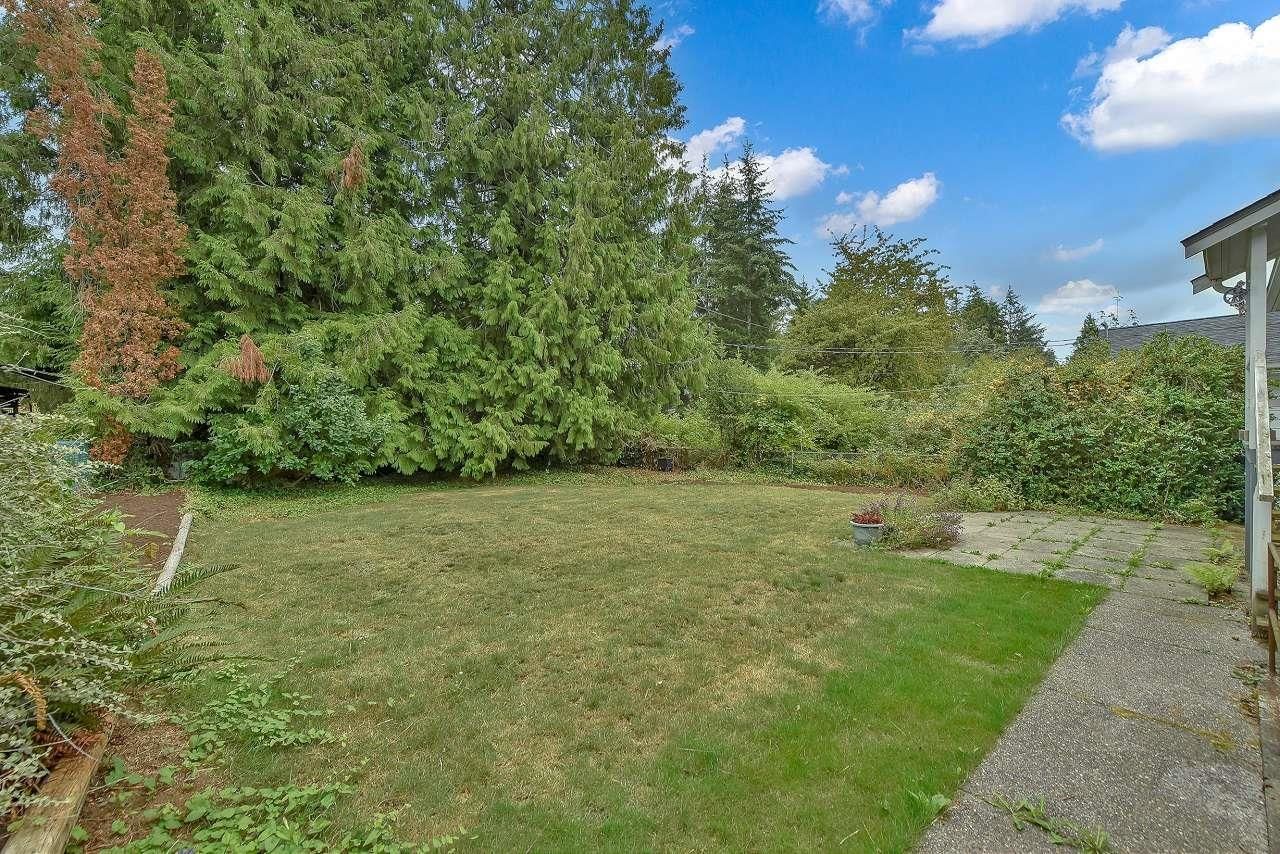 Listing Image 15