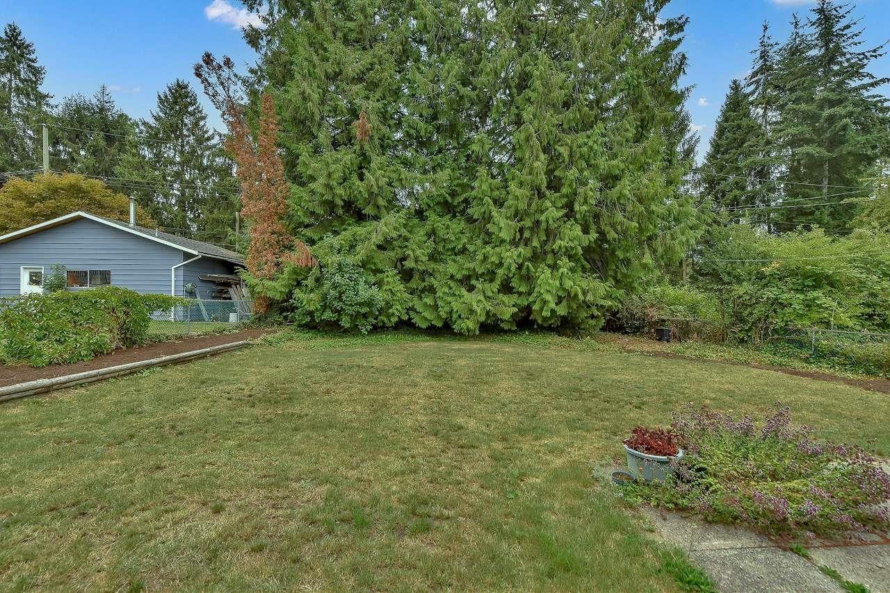 Listing Image 16