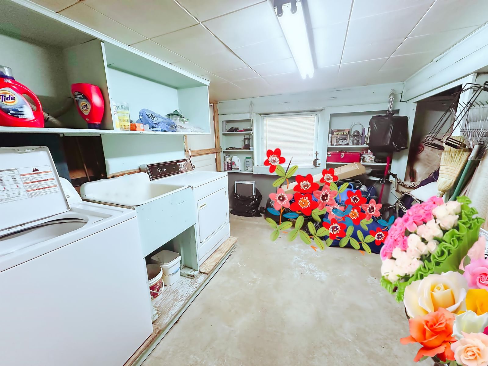 Listing Image 11