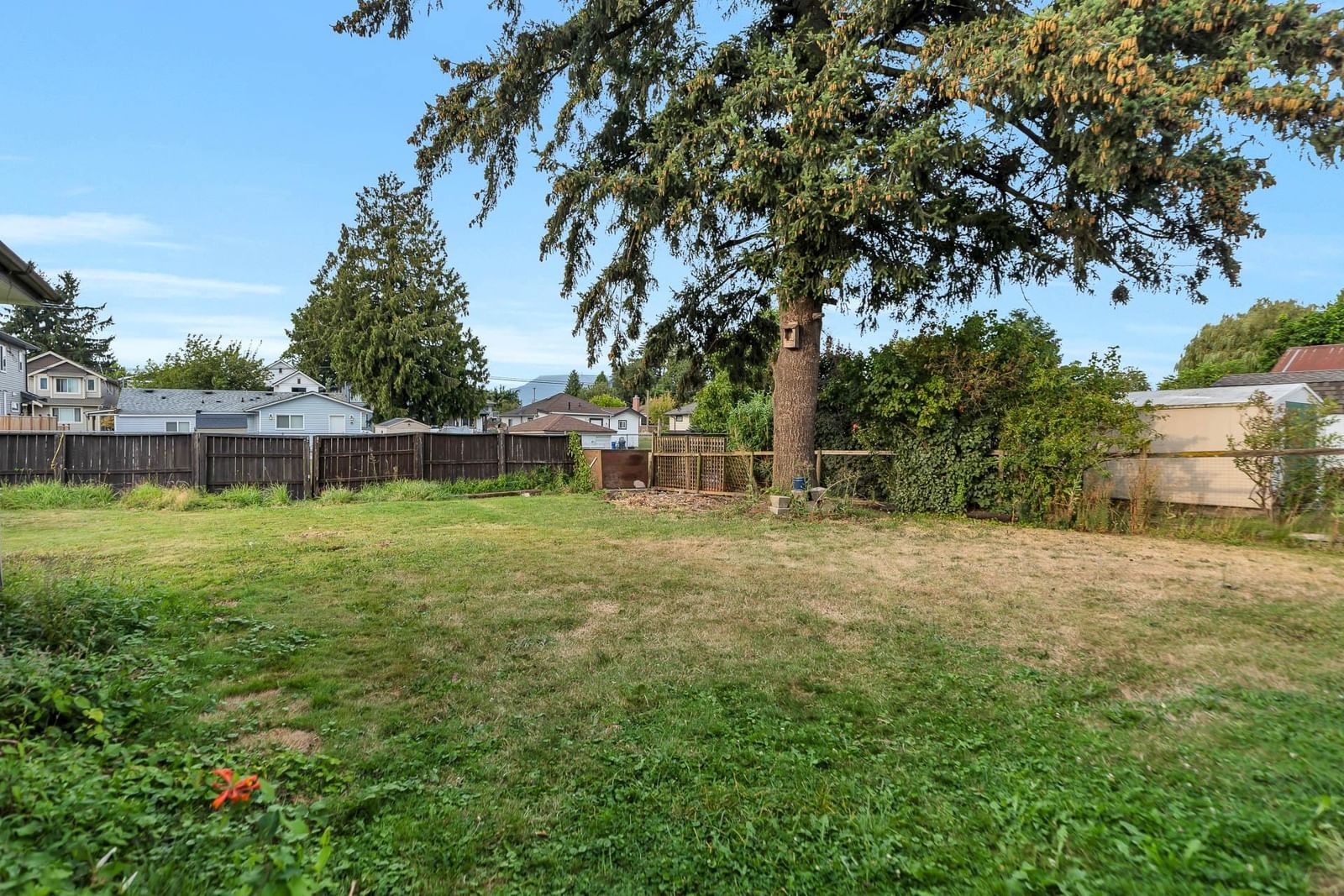 Listing Image 38