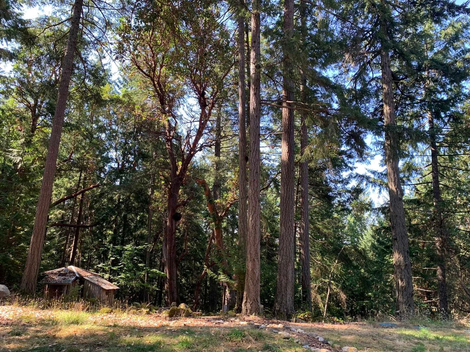 Listing Image 20