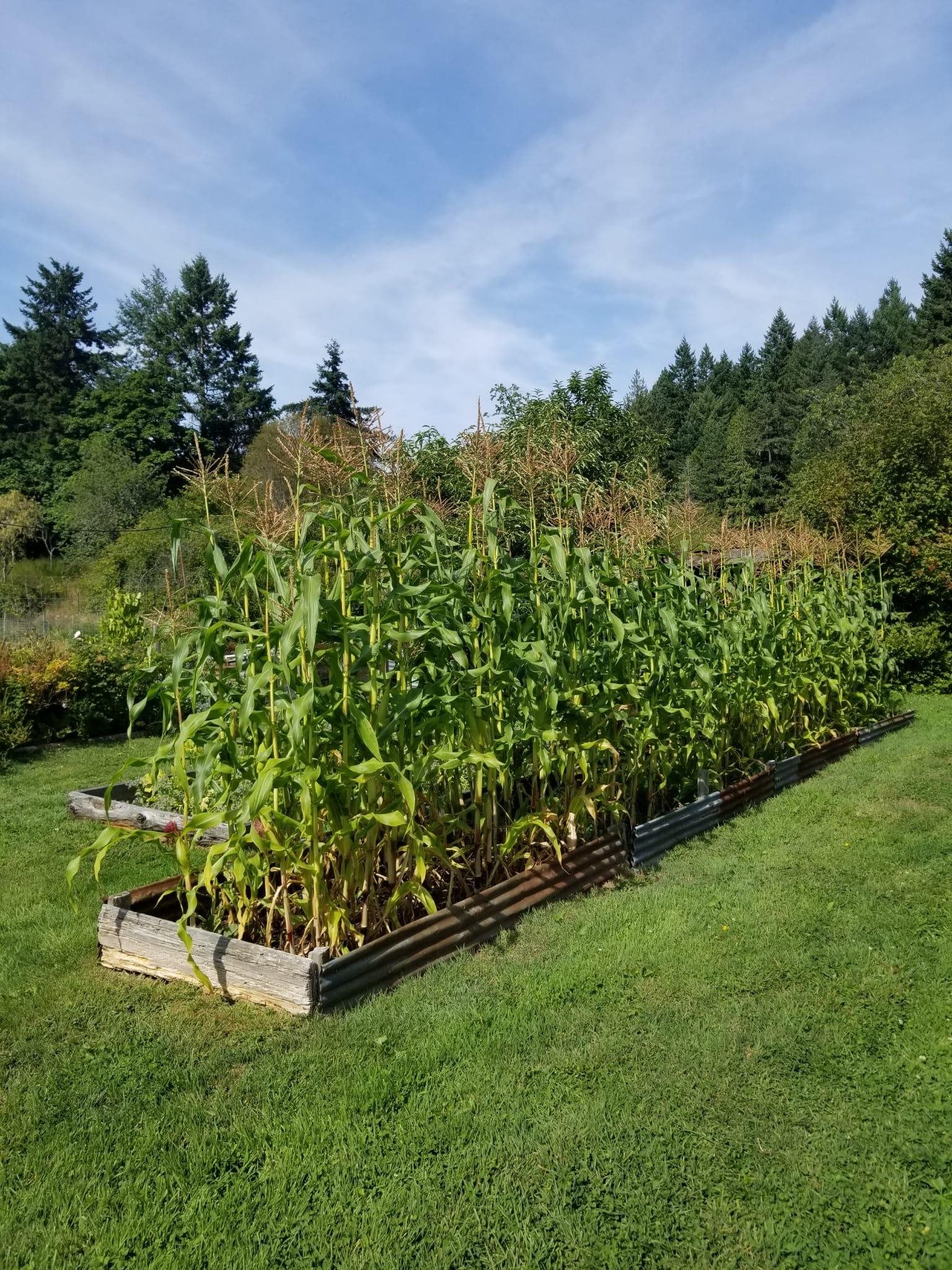Listing Image 29
