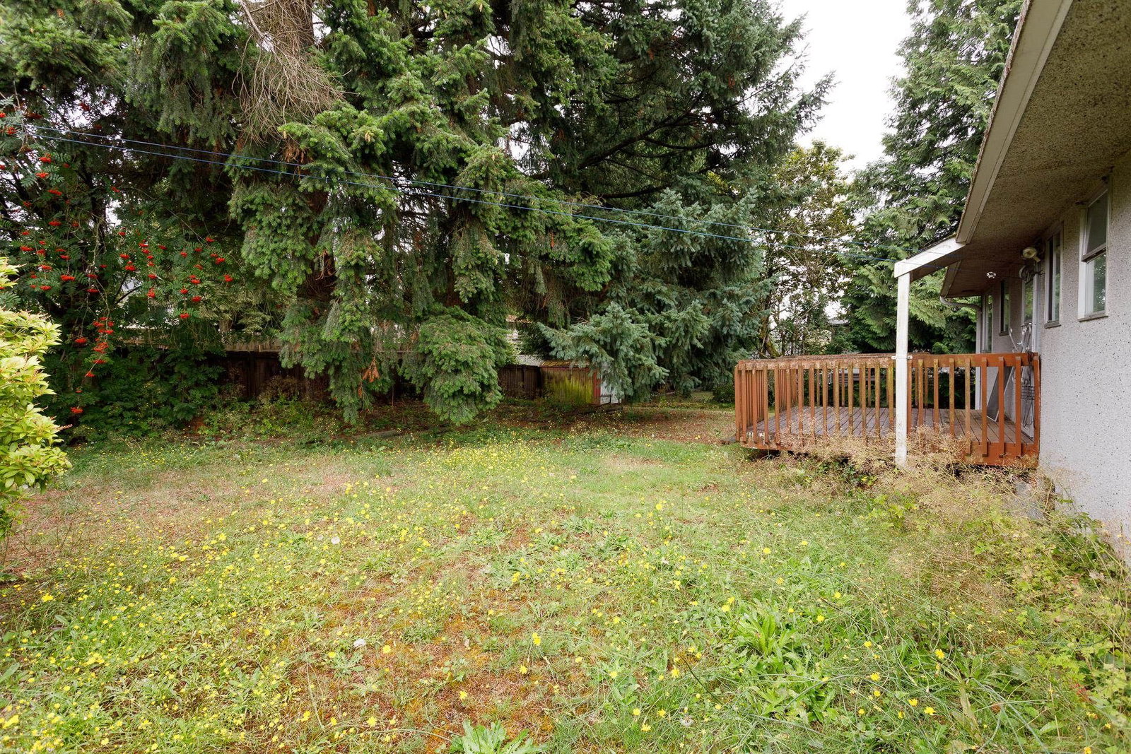 Listing Image 17