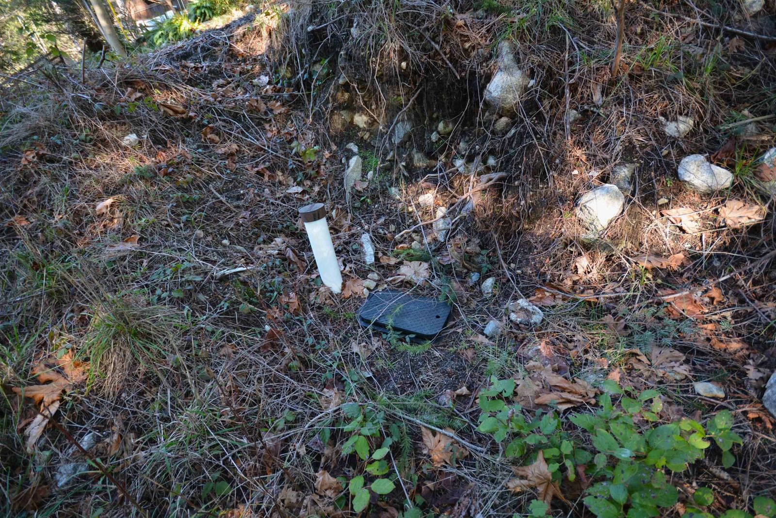 Listing Image 8