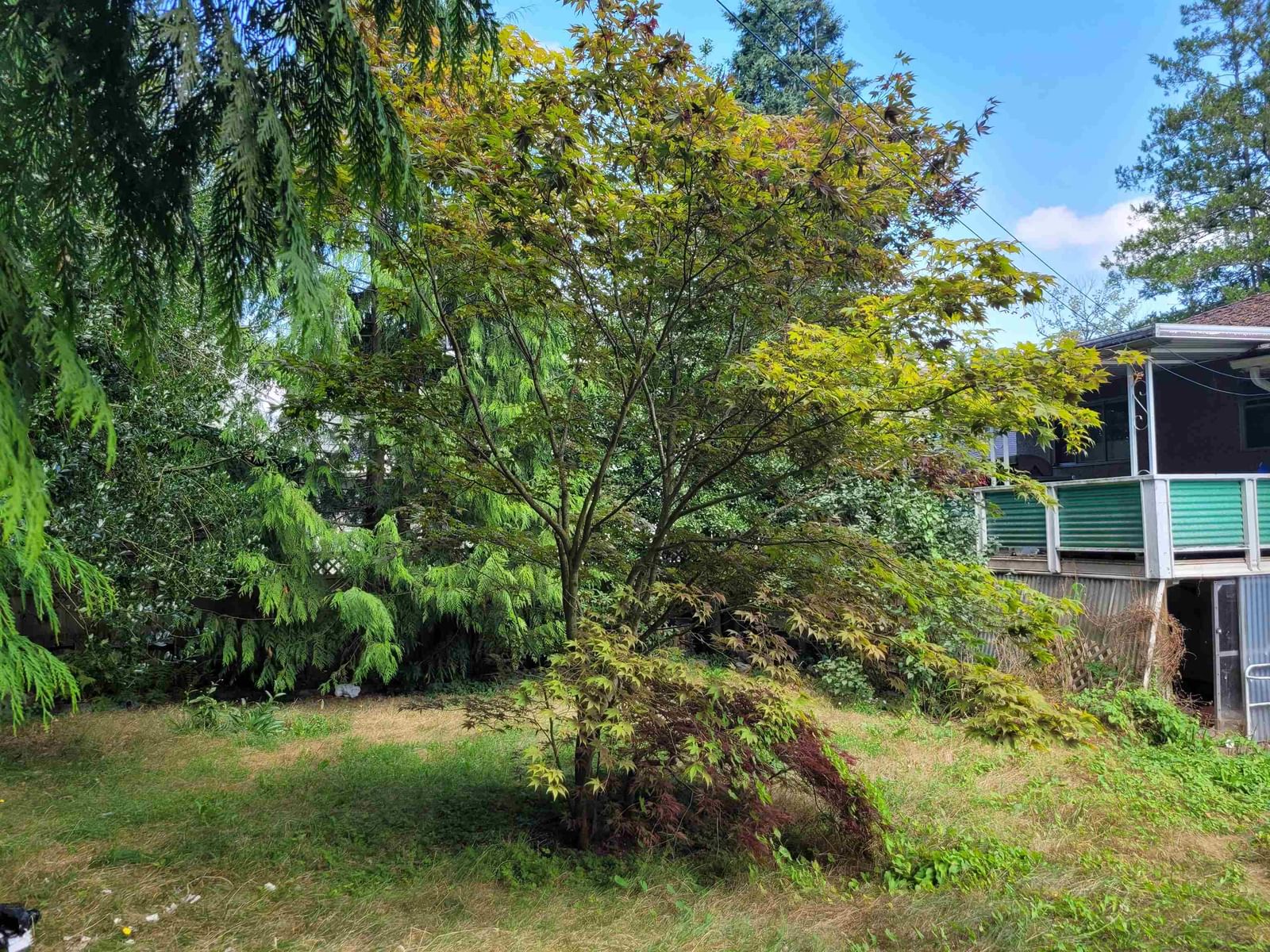 Listing Image 15