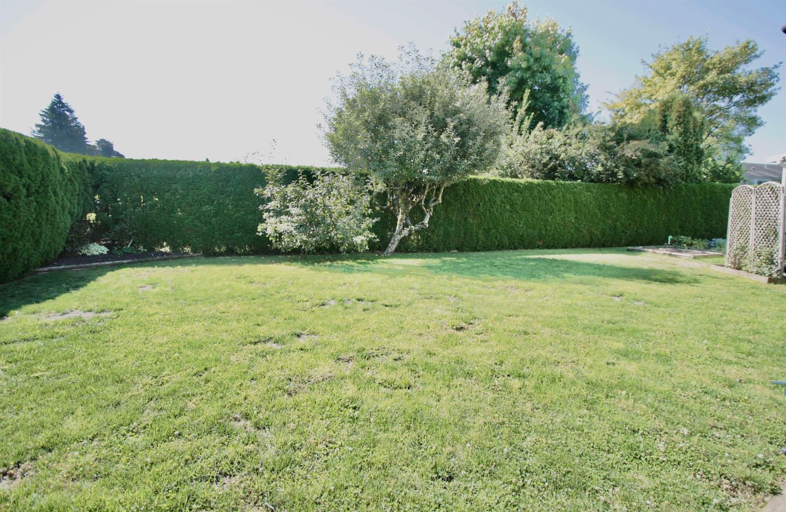 Listing Image 33
