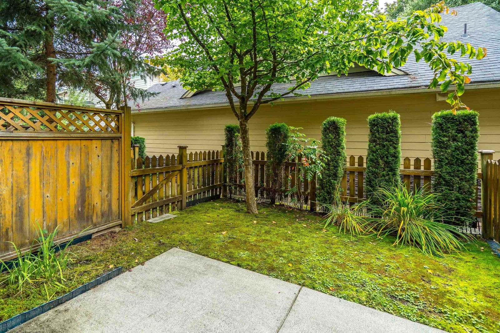 Listing Image 34