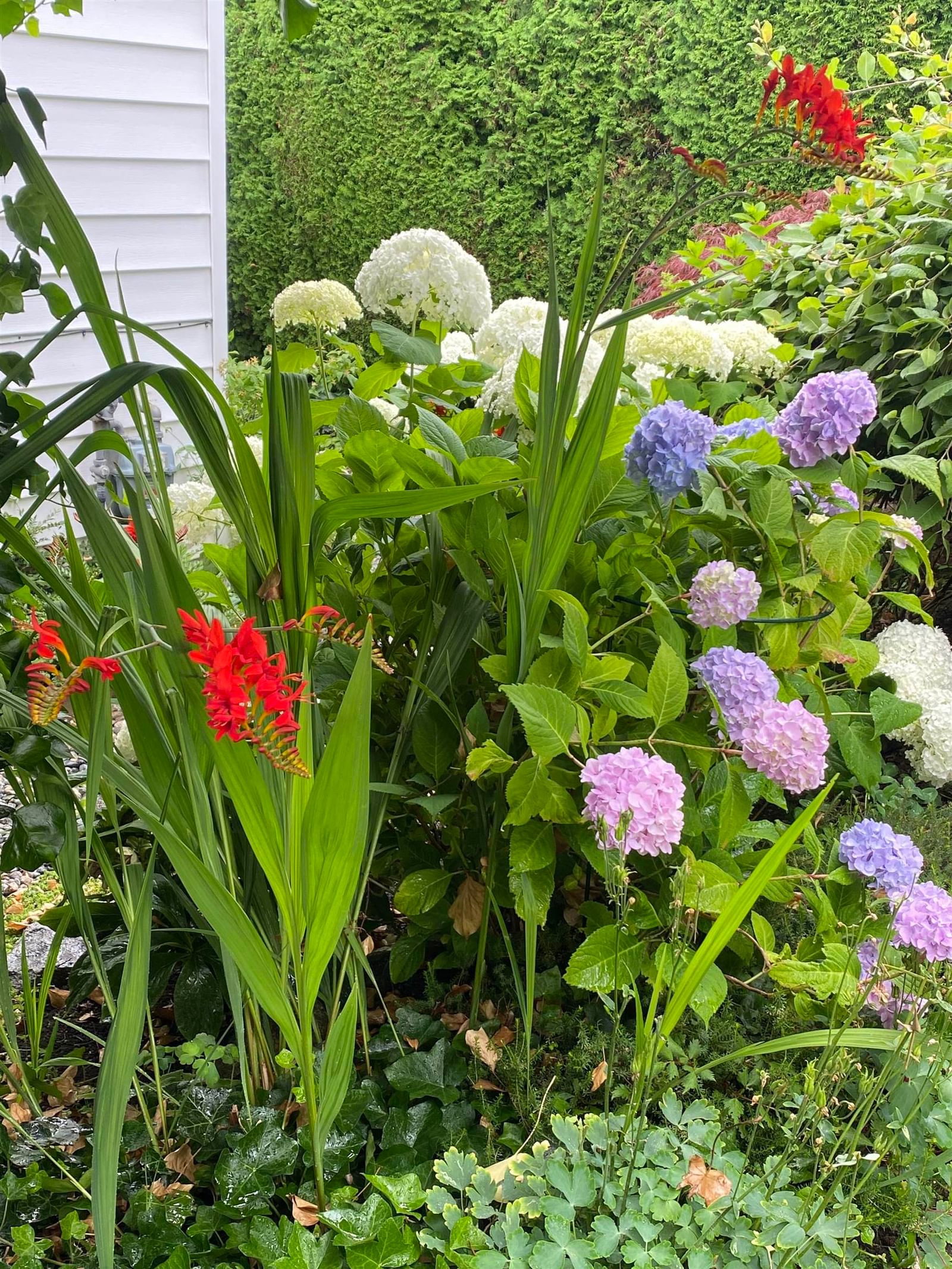 Listing Image 34