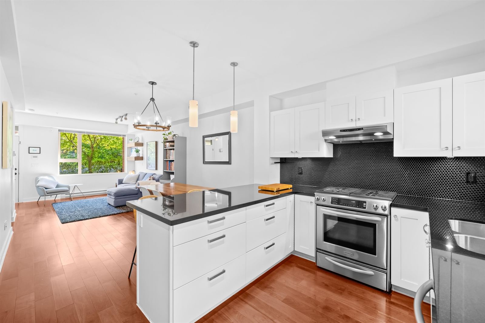 Listing Image 15