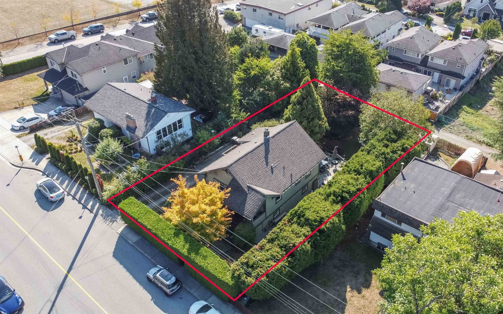 Listing Image 1