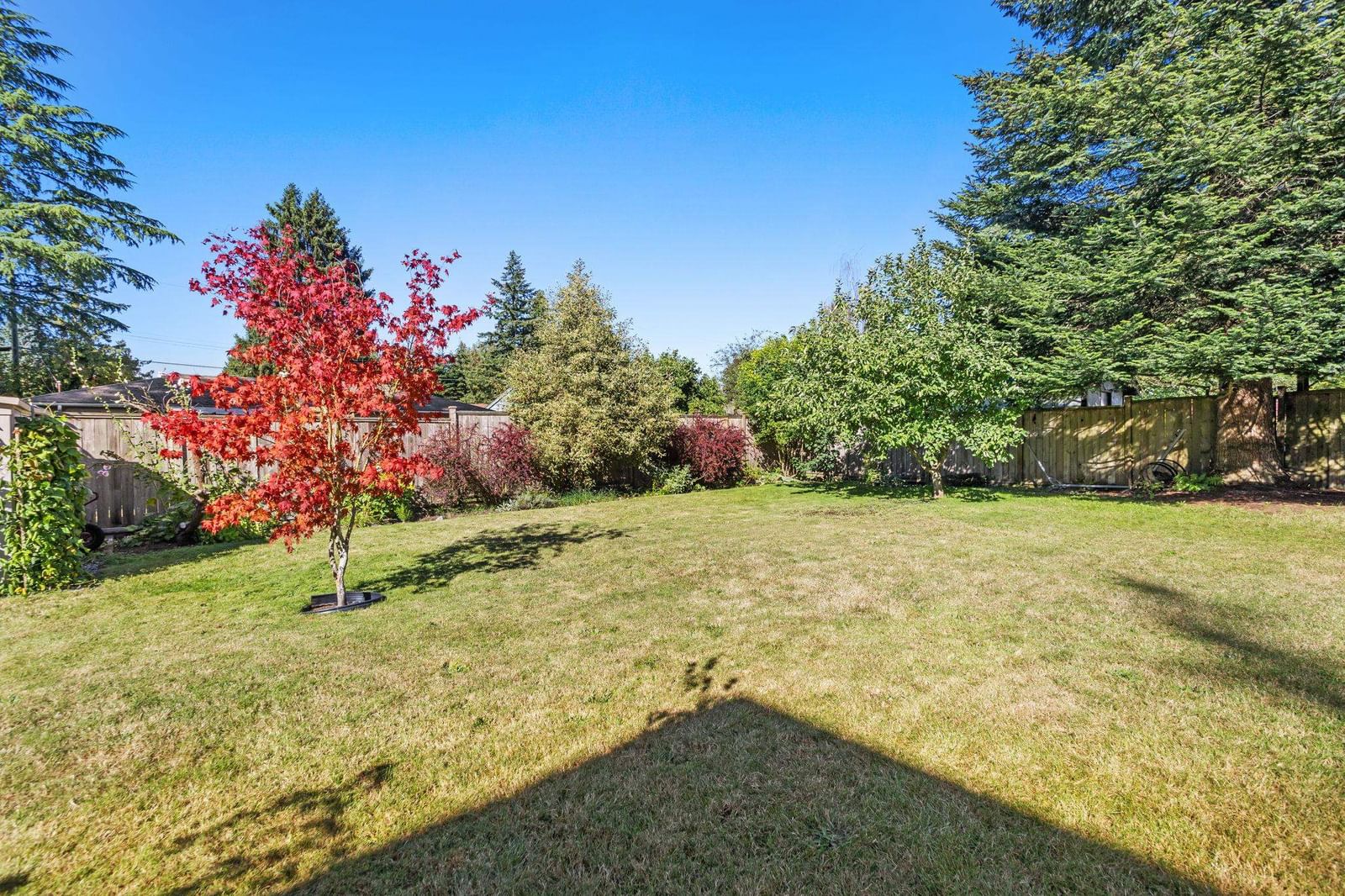Listing Image 34