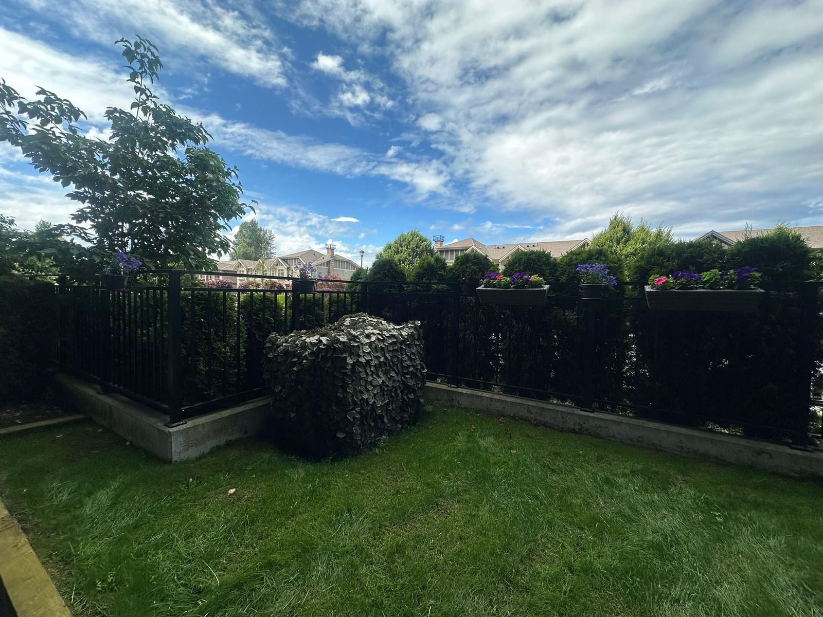 Listing Image 20