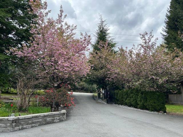 Listing Image 30