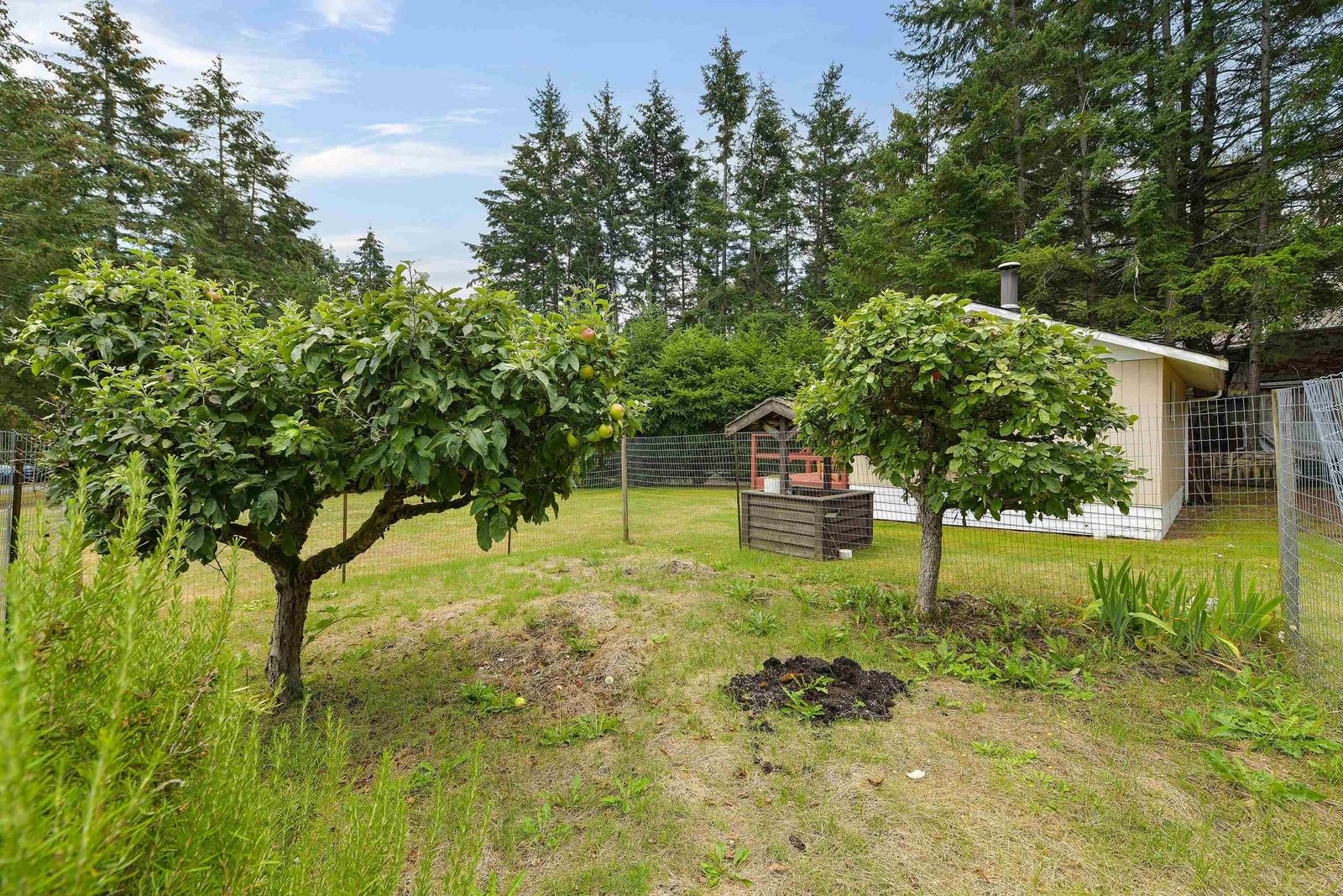 Listing Image 12