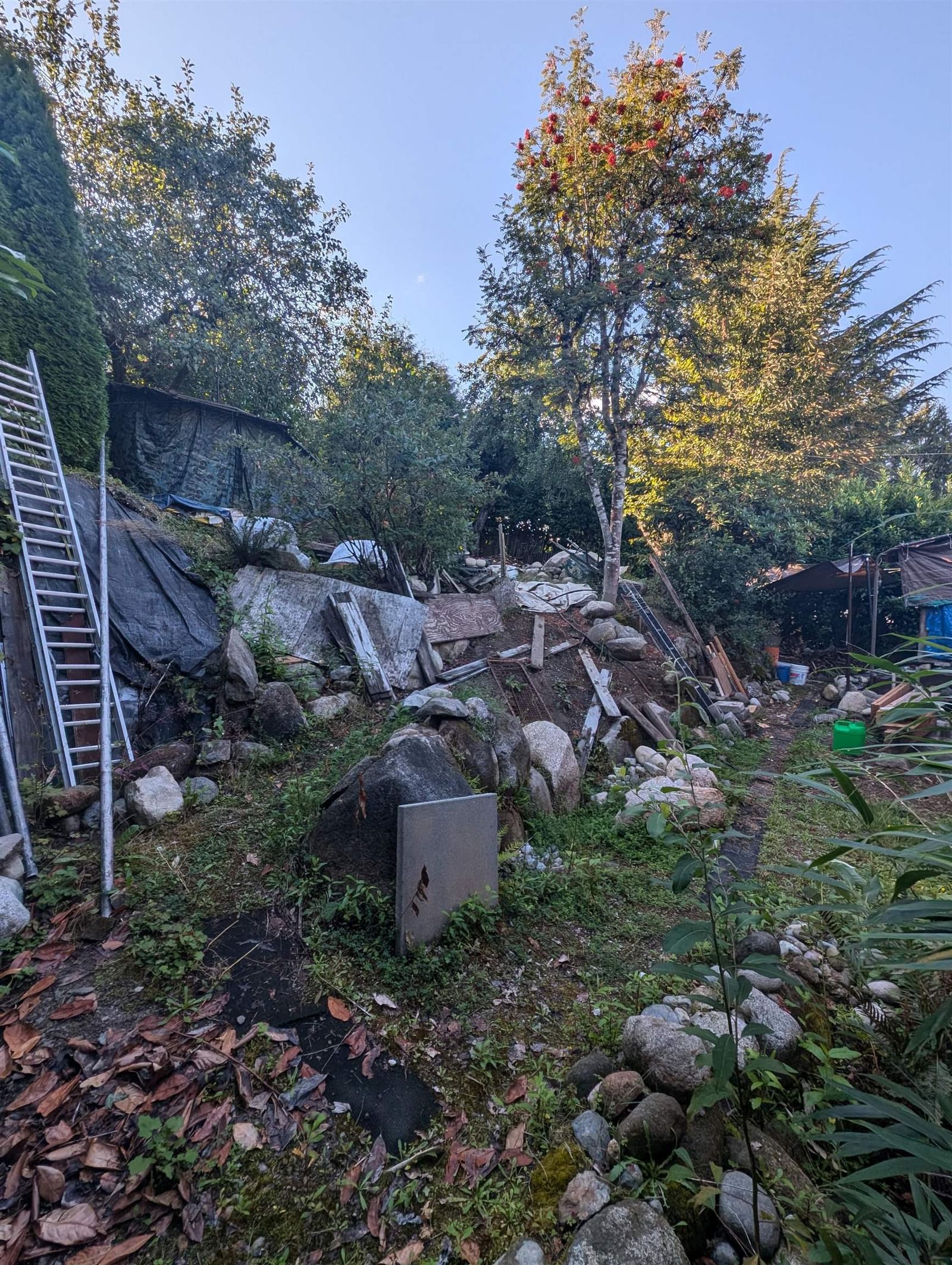 Listing Image 16