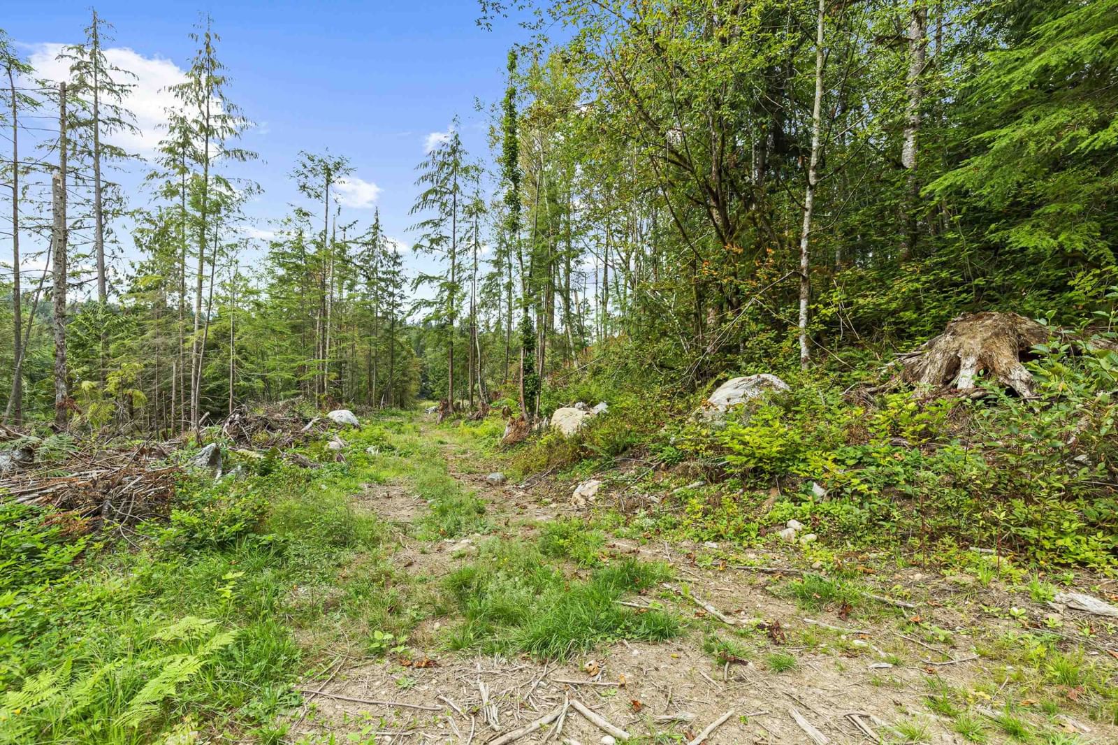 Listing Image 37