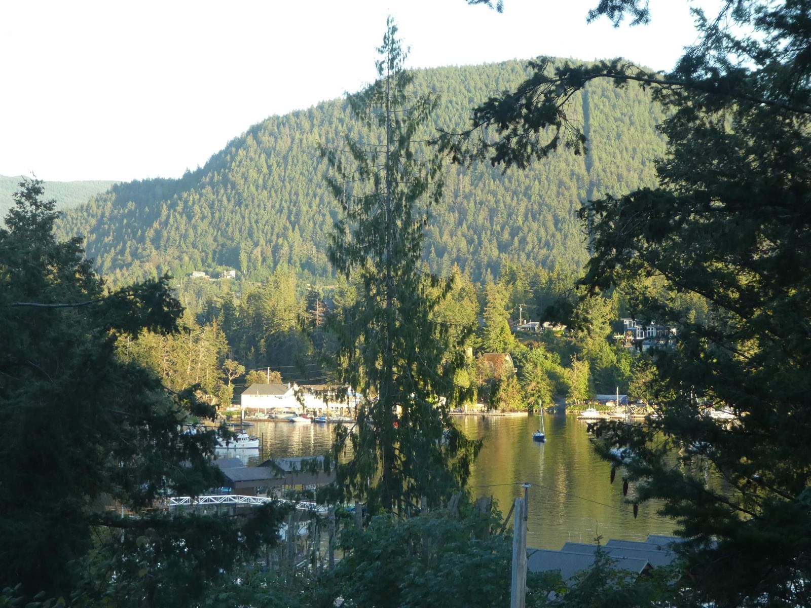 Listing Image 25