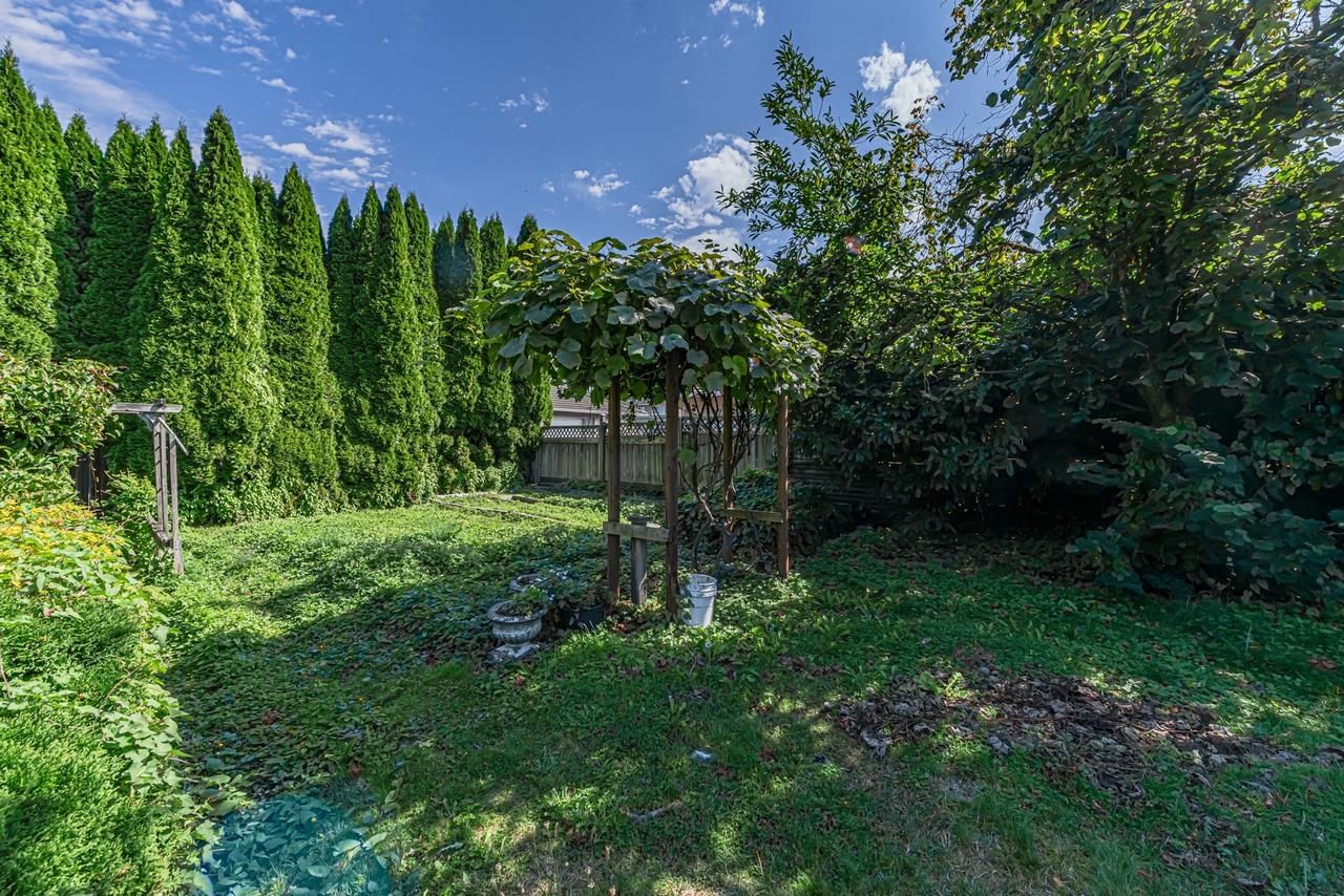 Listing Image 31