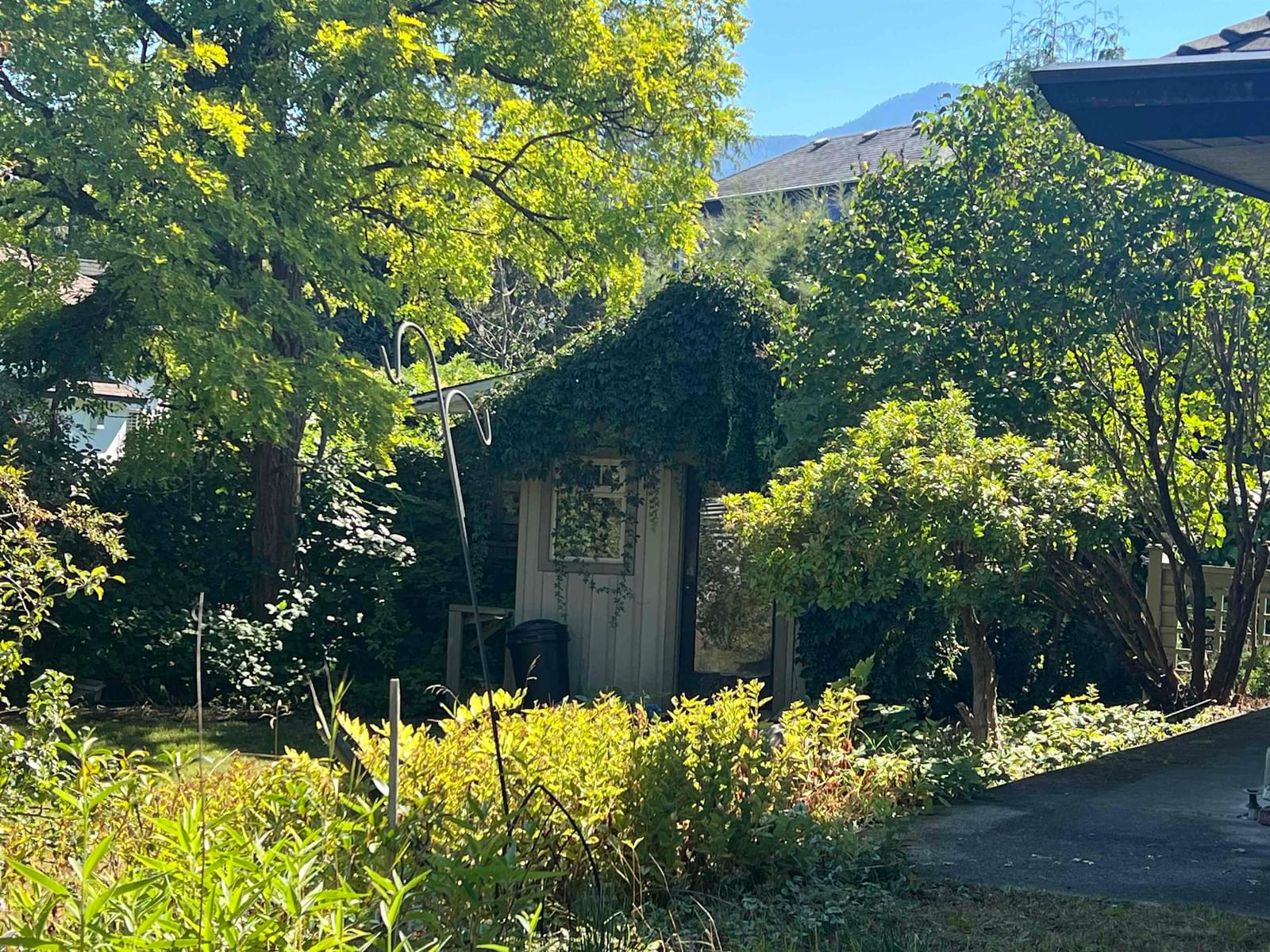 Listing Image 24