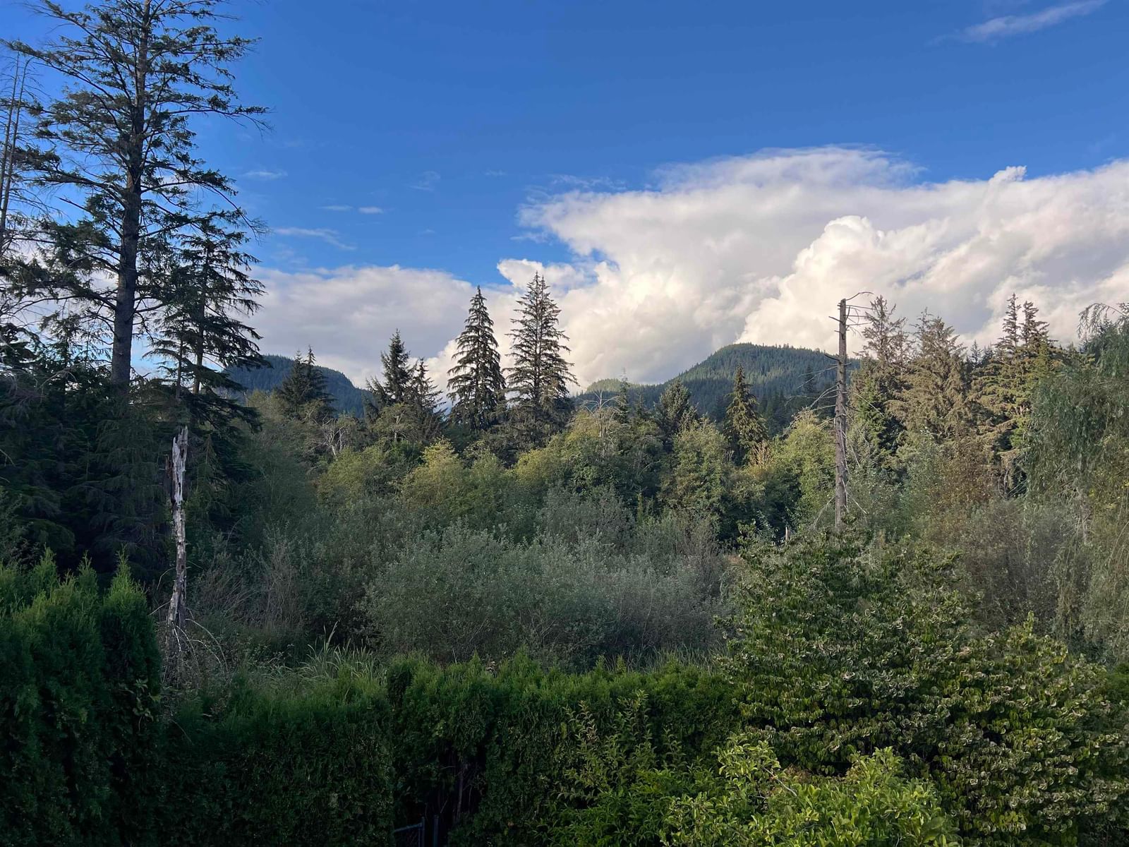Listing Image 25